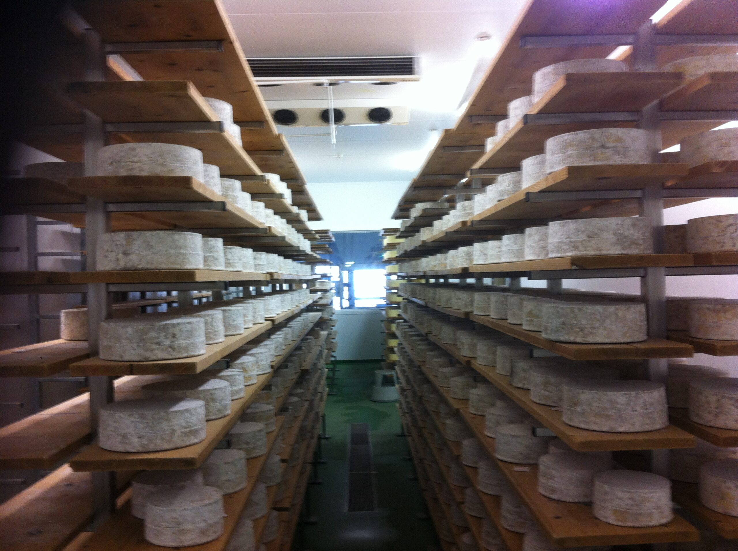 Trewthowan Cheese production refrigeration