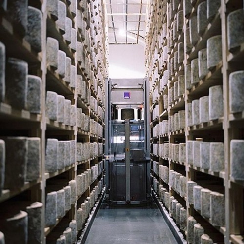 cheese refrigeration production