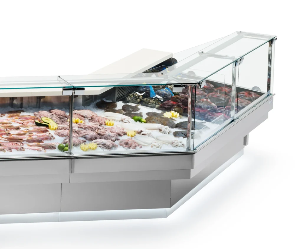 Cali Fish Display serve Over Counter